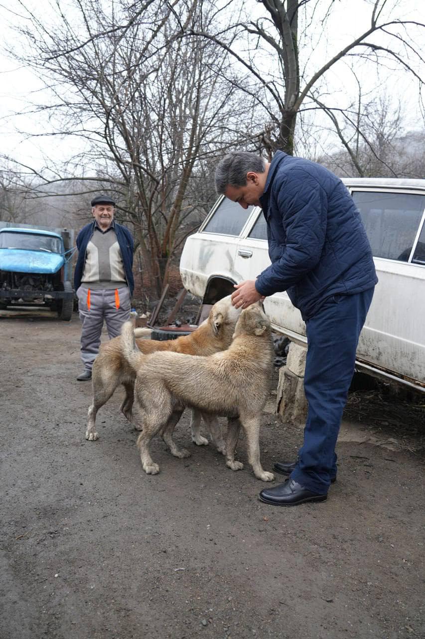 Արման Թաթոյան
